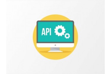 API Modülü